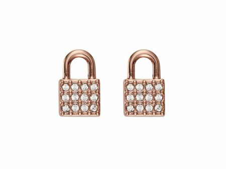 Ladies  Earrings DKNY 5520121 1 cm For Cheap