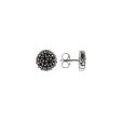 Ladies  Earrings Albert M. WSOX00106.BS-S For Sale