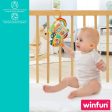 Cot Mobile Winfun Cloth Plastic 11,5 x 11,5 x 11,5 cm (6 Units) Supply